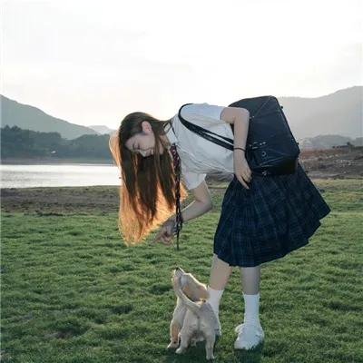 梨花无意伴春寒